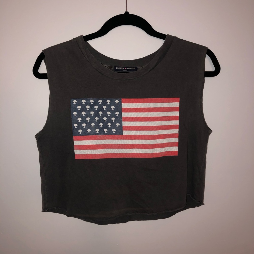 Brandy Melville crop top